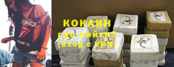 гашик Белокуриха