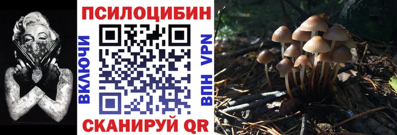 Купить  Аргун  Галлюциногенные грибы прущие грибы 